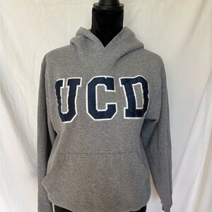 Champion Gray UCD Hoodie